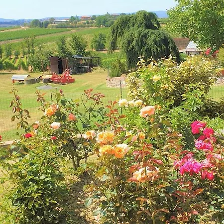 Casina Di Pacina *